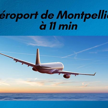 T3 Somptuosa 1 Ere Ligne Vue Mer Palavas 外观 照片